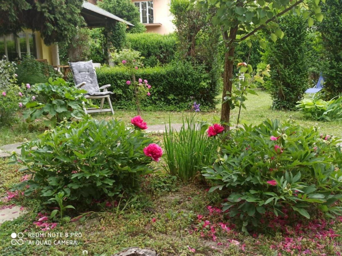 Cocic Garden Apartment โอซีเยก ภายนอก รูปภาพ