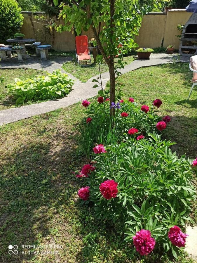 Cocic Garden Apartment โอซีเยก ภายนอก รูปภาพ