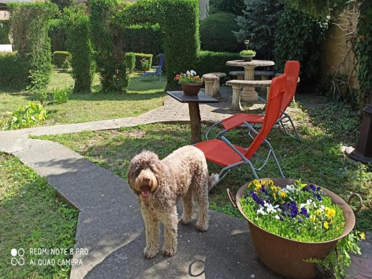 Cocic Garden Apartment โอซีเยก ภายนอก รูปภาพ